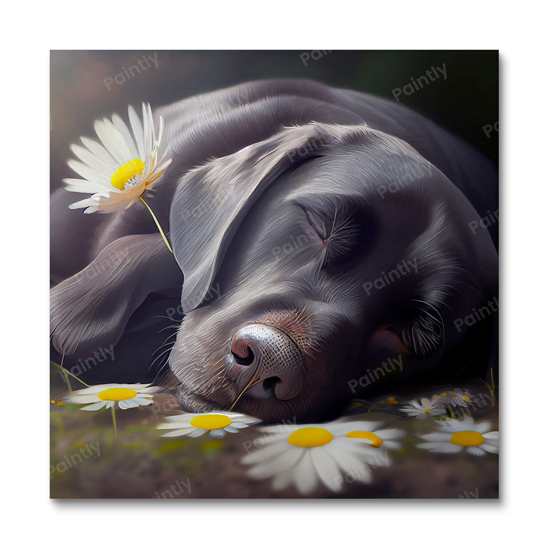 Labrador's Daisies I (Diamond Painting) Diamond Painting kit