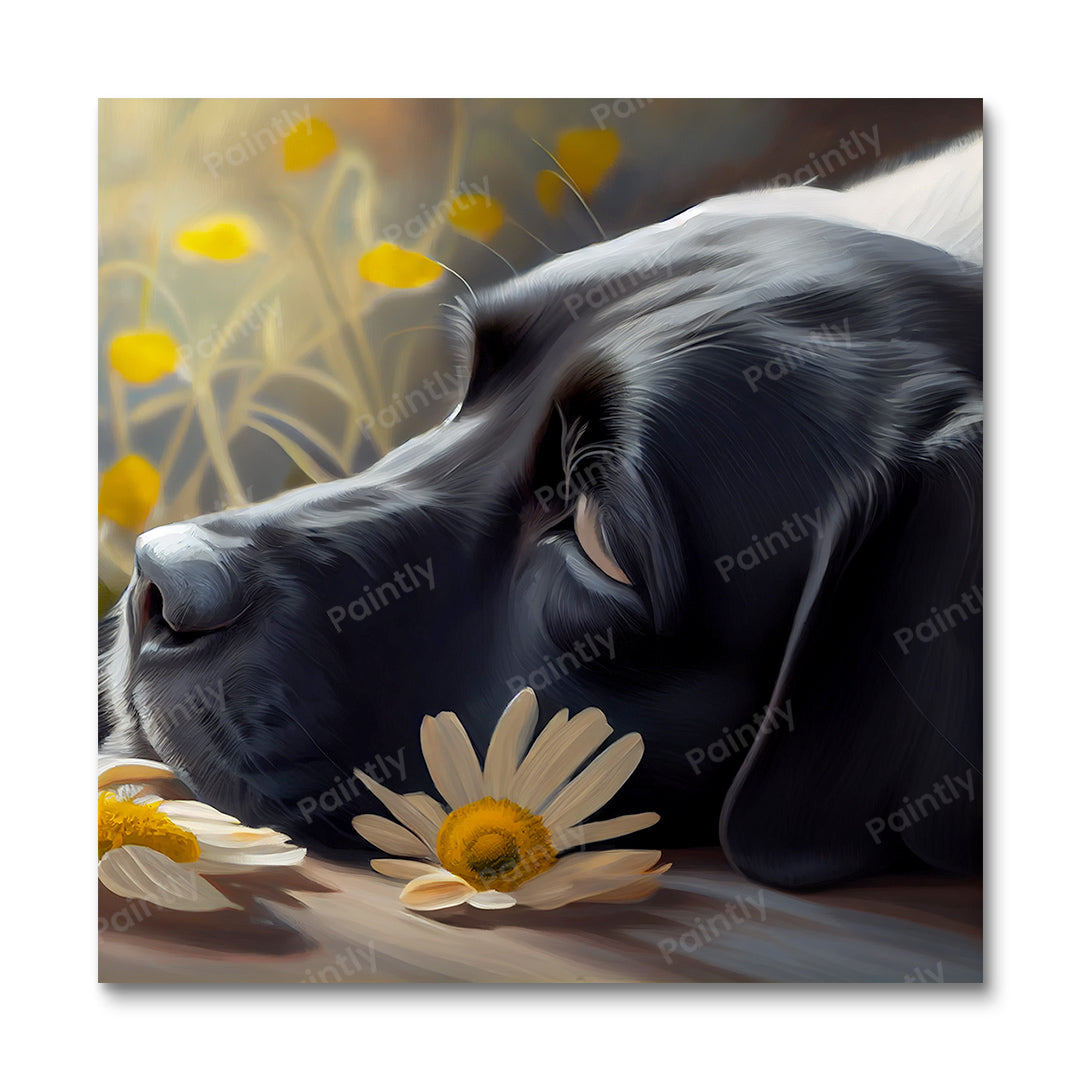 Labrador's Daisies III (Diamond Painting) Diamond Painting kit
