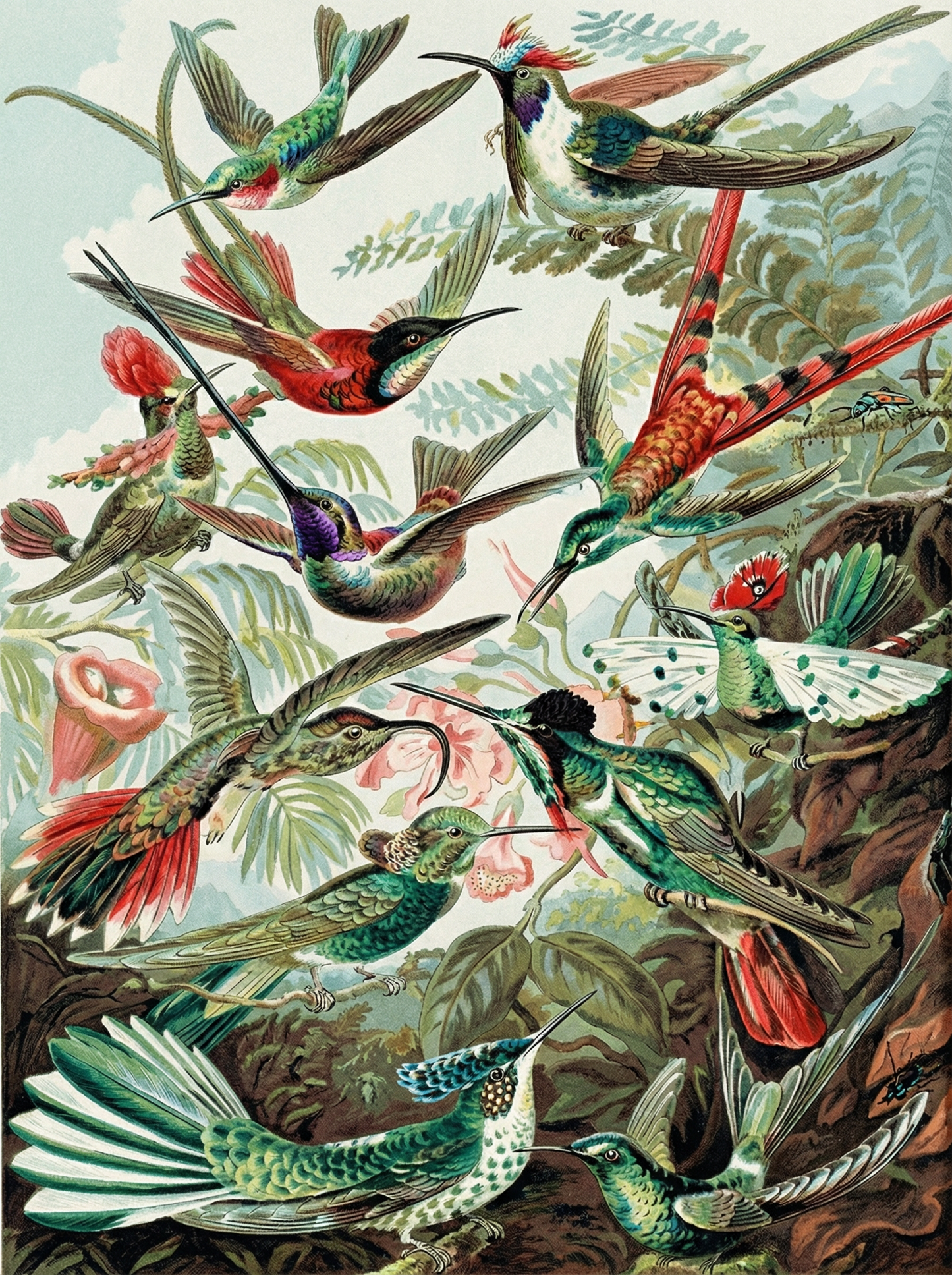 Hummingbird Paradise Dance (Diamond Painting) Diamond Painting kit