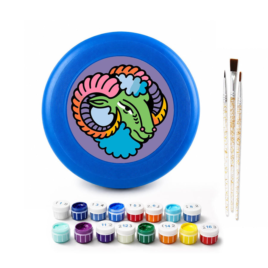 Flying disc kit contents