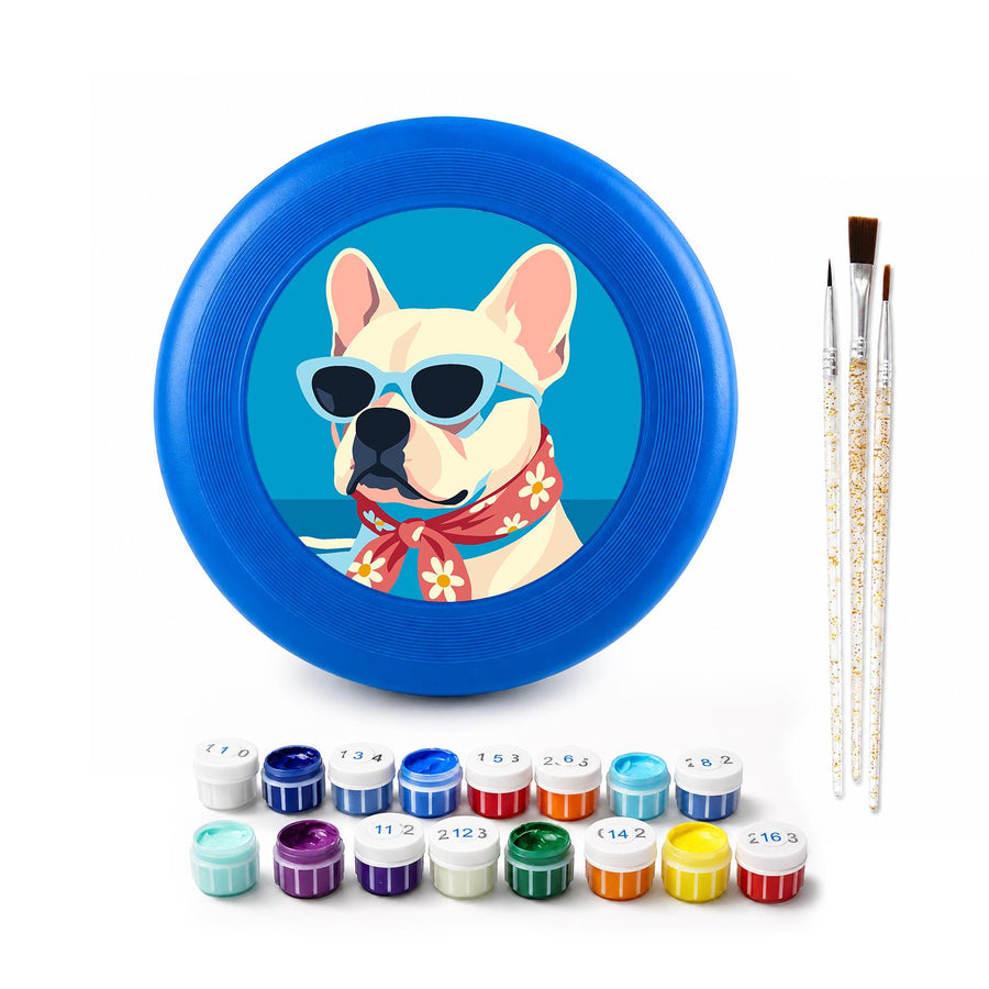 Flying disc kit contents