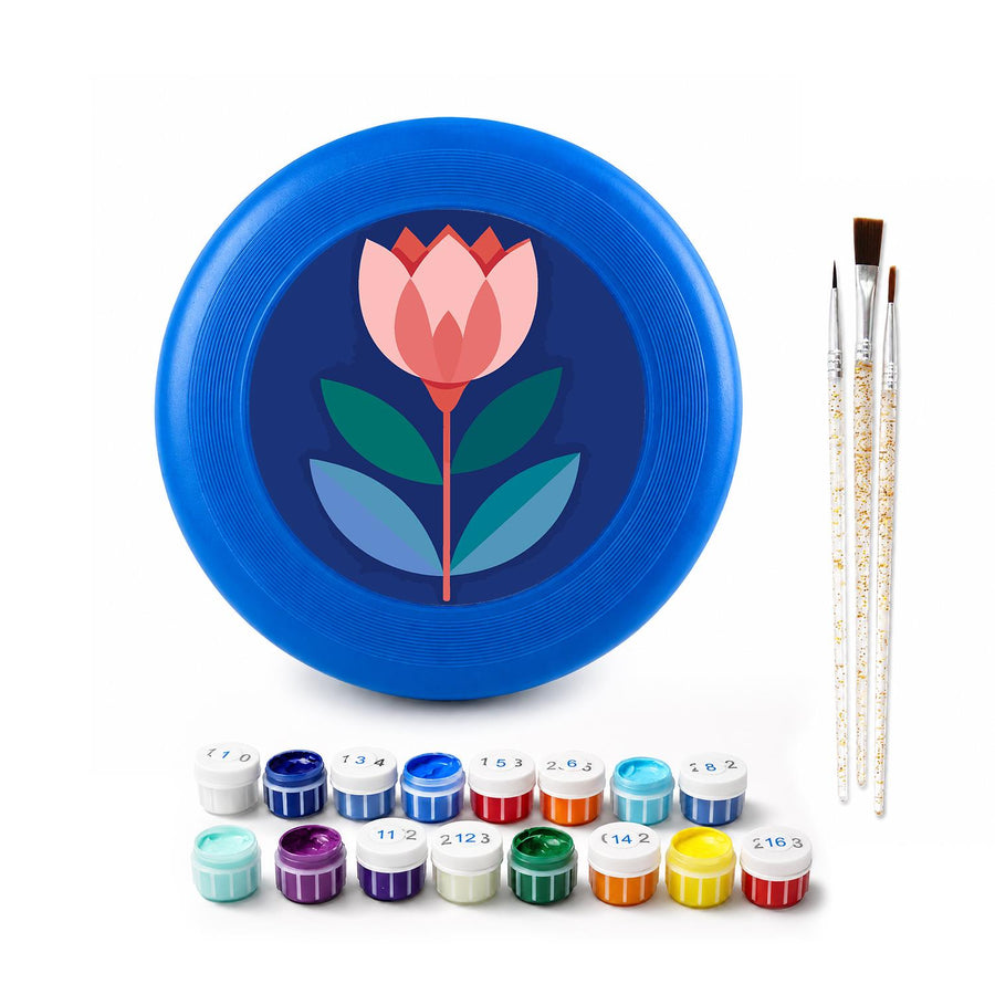 Flying disc kit contents