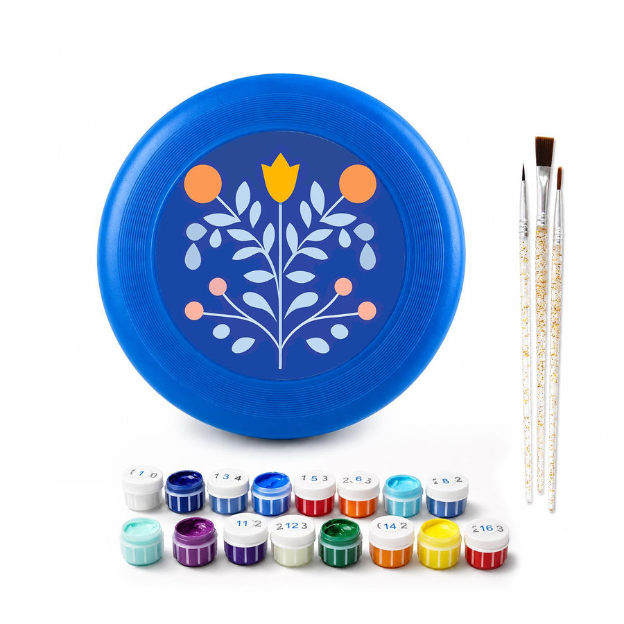 Flying disc kit contents