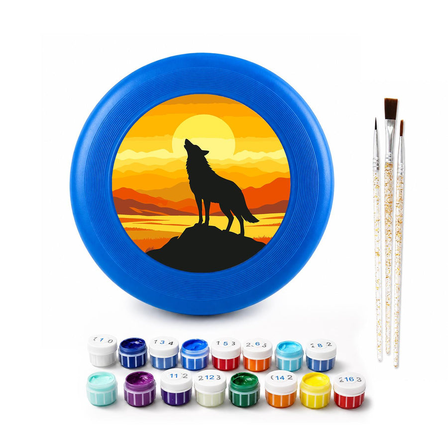 Flying disc kit contents