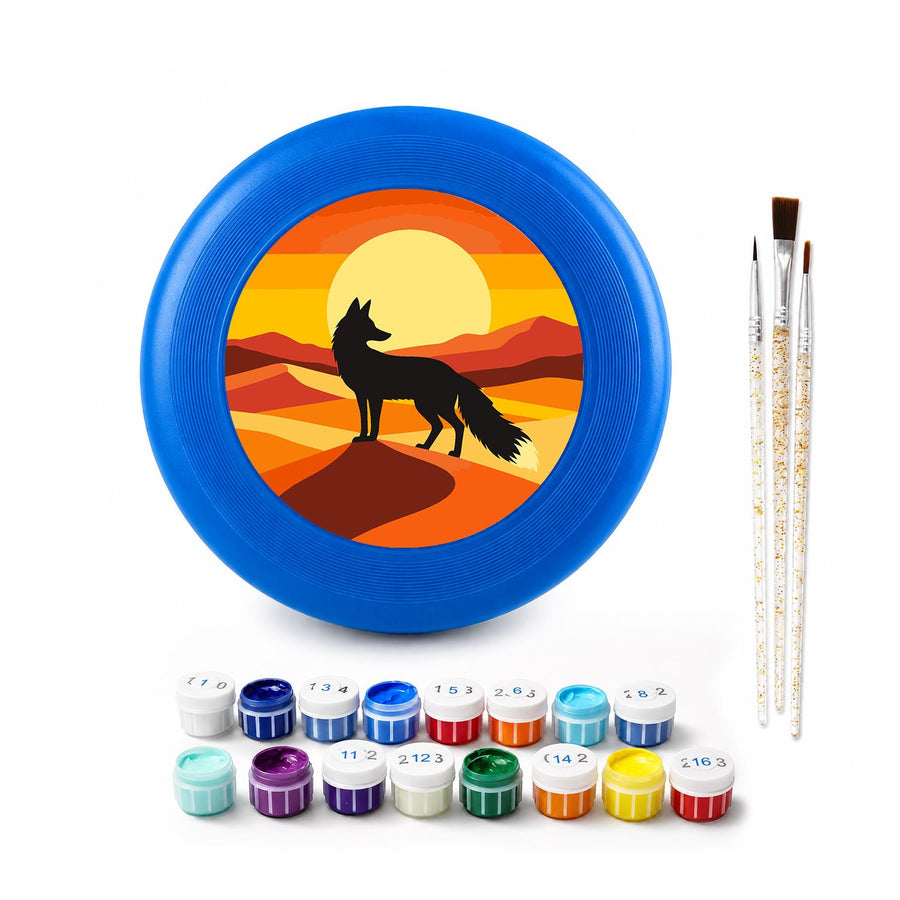 Flying disc kit contents