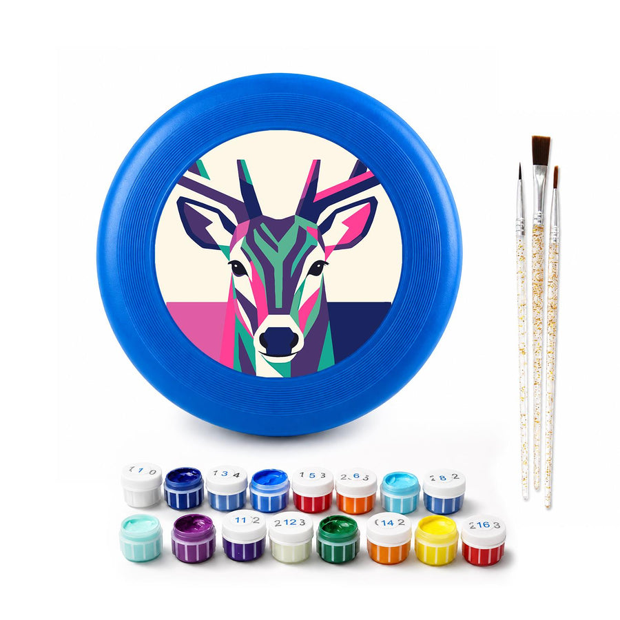 Flying disc kit contents