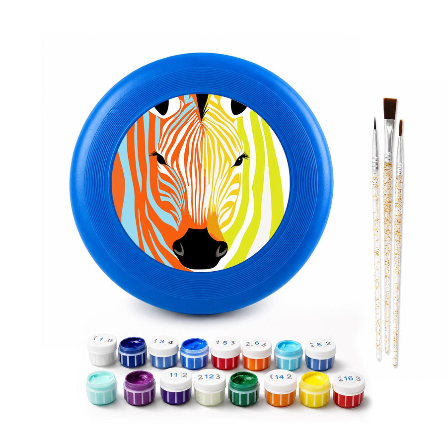 Flying disc kit contents