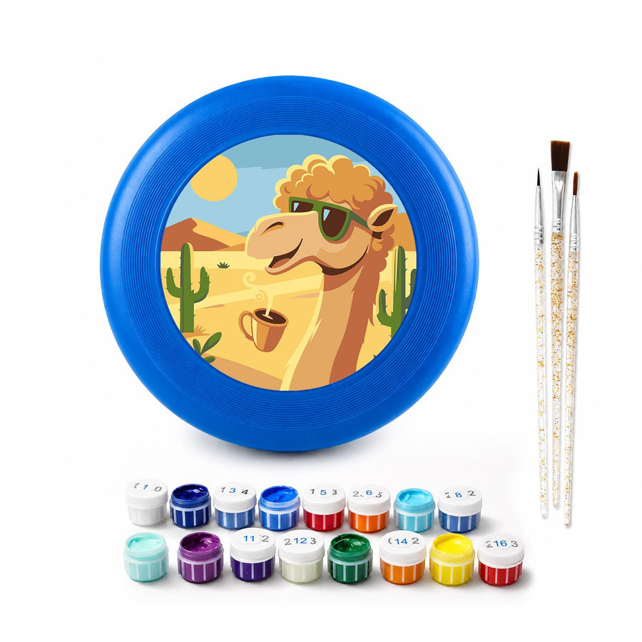 Flying disc kit contents