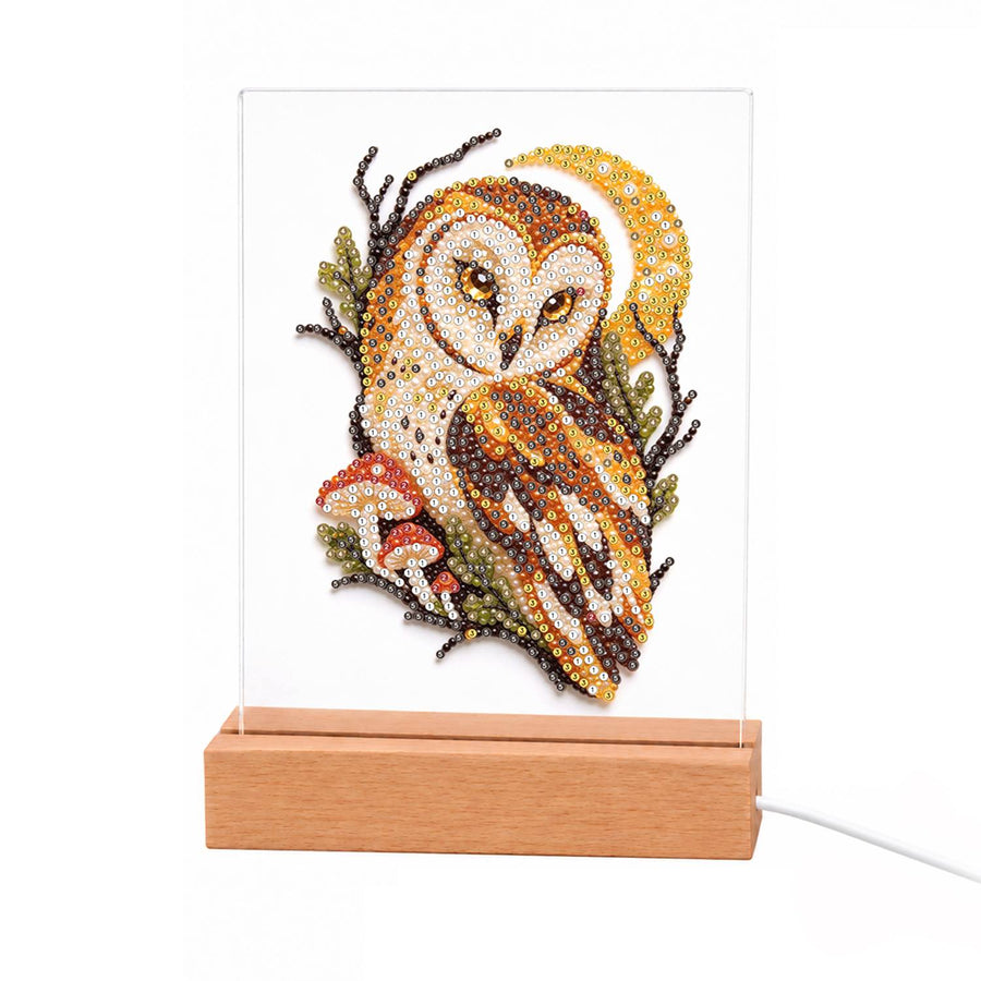 Light-up pearl painting kit contents