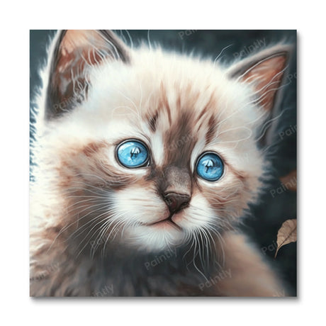 Ocean Eyes Kitten (Diamond Painting) Diamond Painting kit