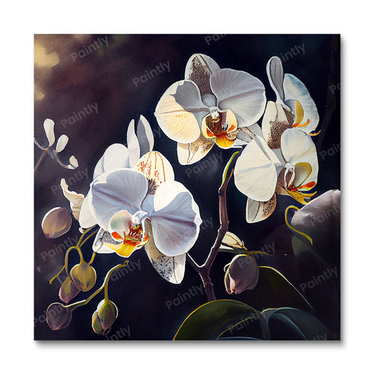 White Orchids (Board Canvas)