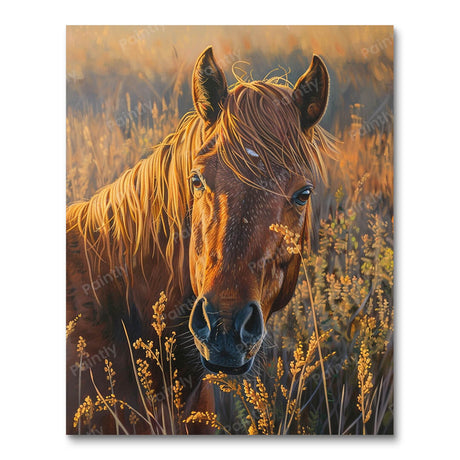 Mustang Majesty (Diamond Painting) Diamond Painting kit