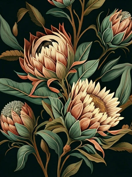 Proteas VII (Paint by Numbers)