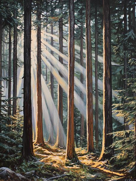 Sunbeams Through Forest Trees (Diamond Painting) Diamond Painting kit