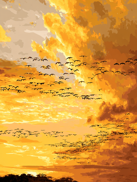 Sunset Flight Silhouetted Birds (Diamond Painting) Diamond Painting kit