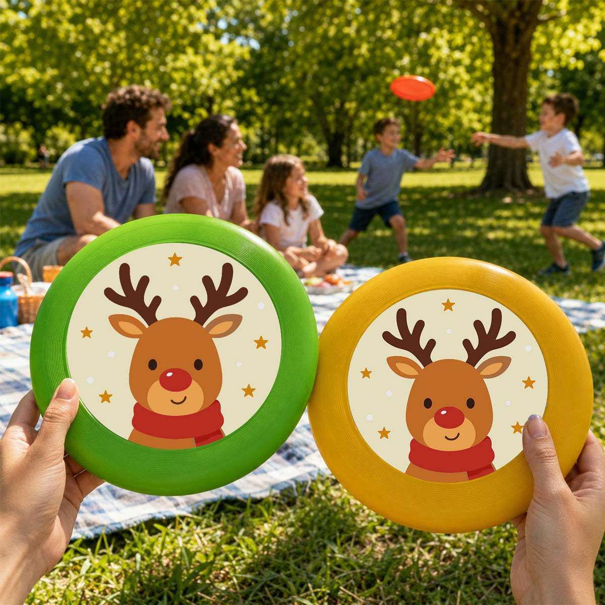 Smiling Christmas Reindeer (Paint by Numbers Flying Disc)