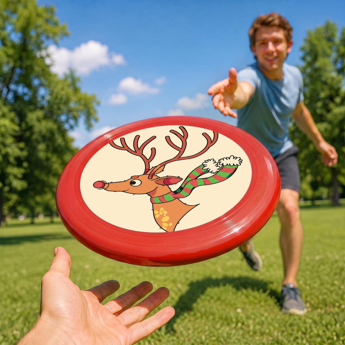 Reindeer with Ornaments (Paint by Numbers Flying Disc)