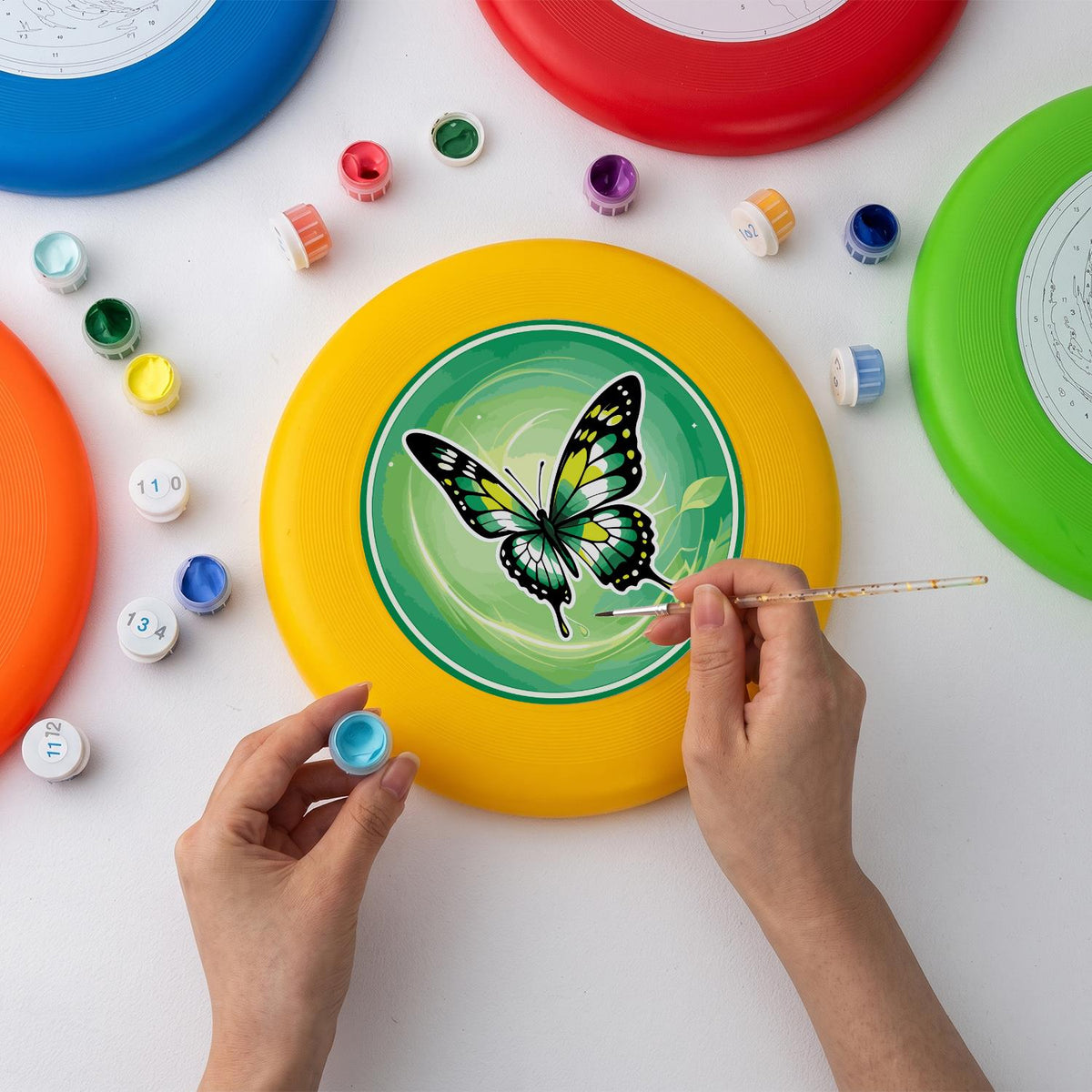 Green Meadow Butterfly (Paint by Numbers Flying Disc)