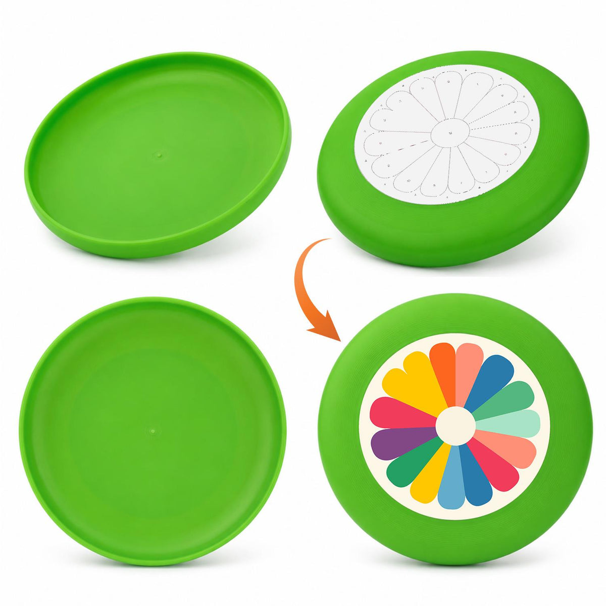 Colourful Daisy (Paint by Numbers Flying Disc)