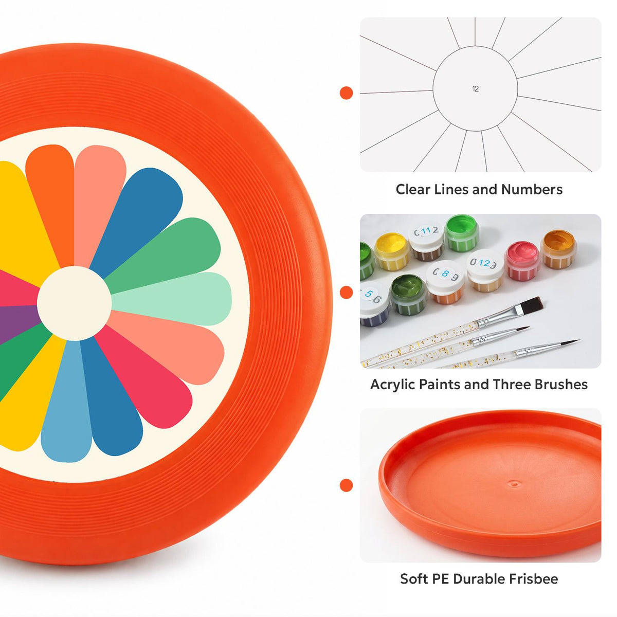 Colourful Daisy (Paint by Numbers Flying Disc)