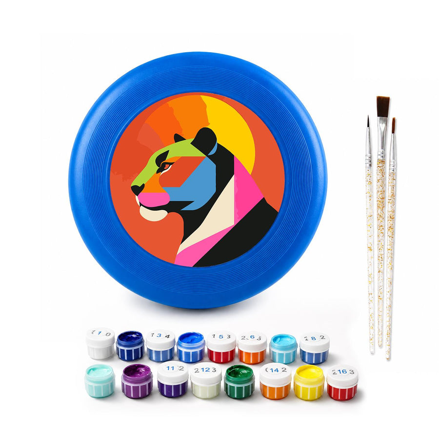 Flying disc kit contents