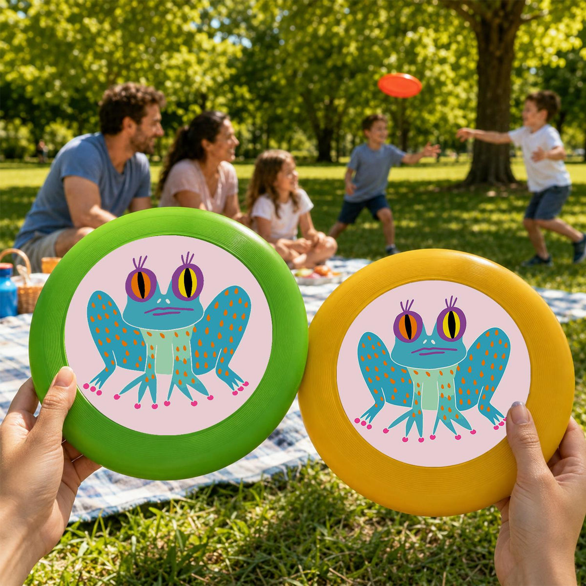 Little Frog Wings (Paint by Numbers Flying Disc)
