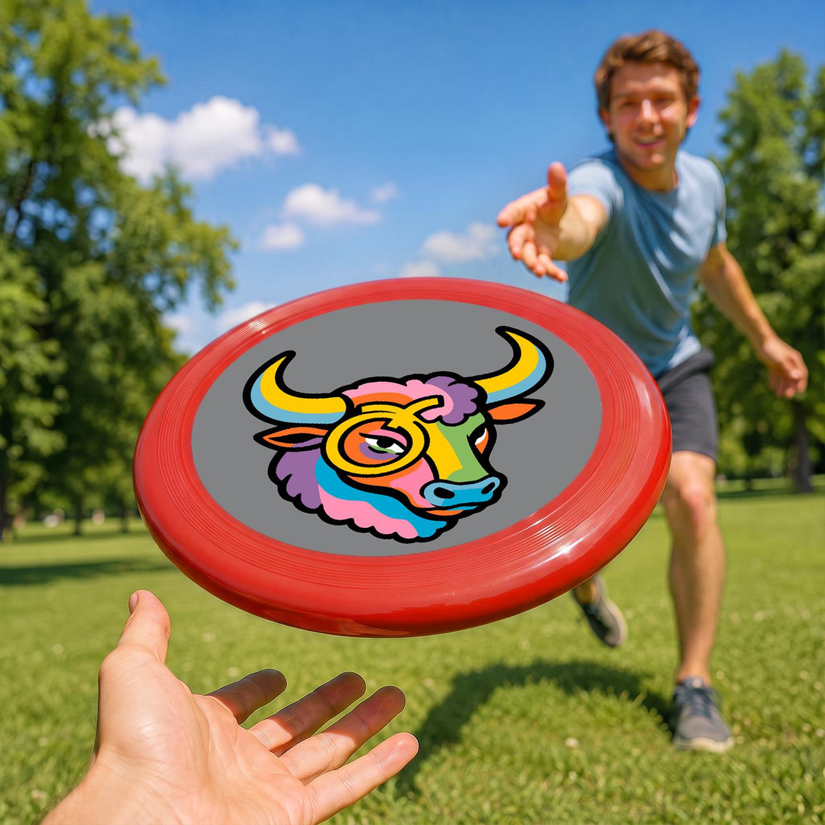 Colourful Bull (Paint by Numbers Flying Disc)
