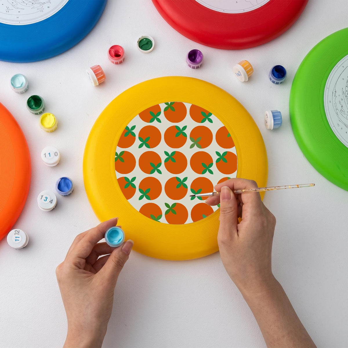 Orange Grove Pattern (Paint by Numbers Flying Disc)