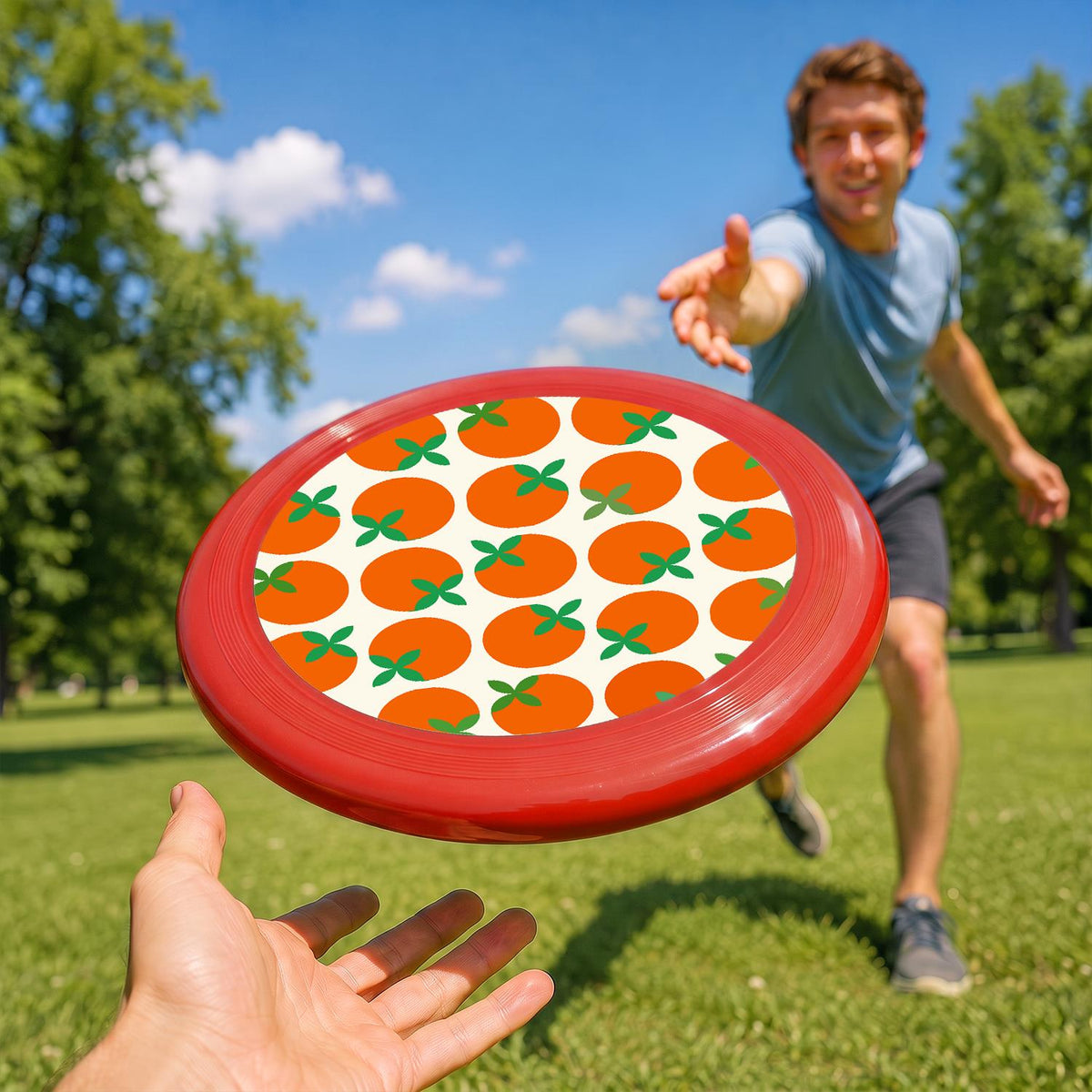 Orange Grove Pattern (Paint by Numbers Flying Disc)