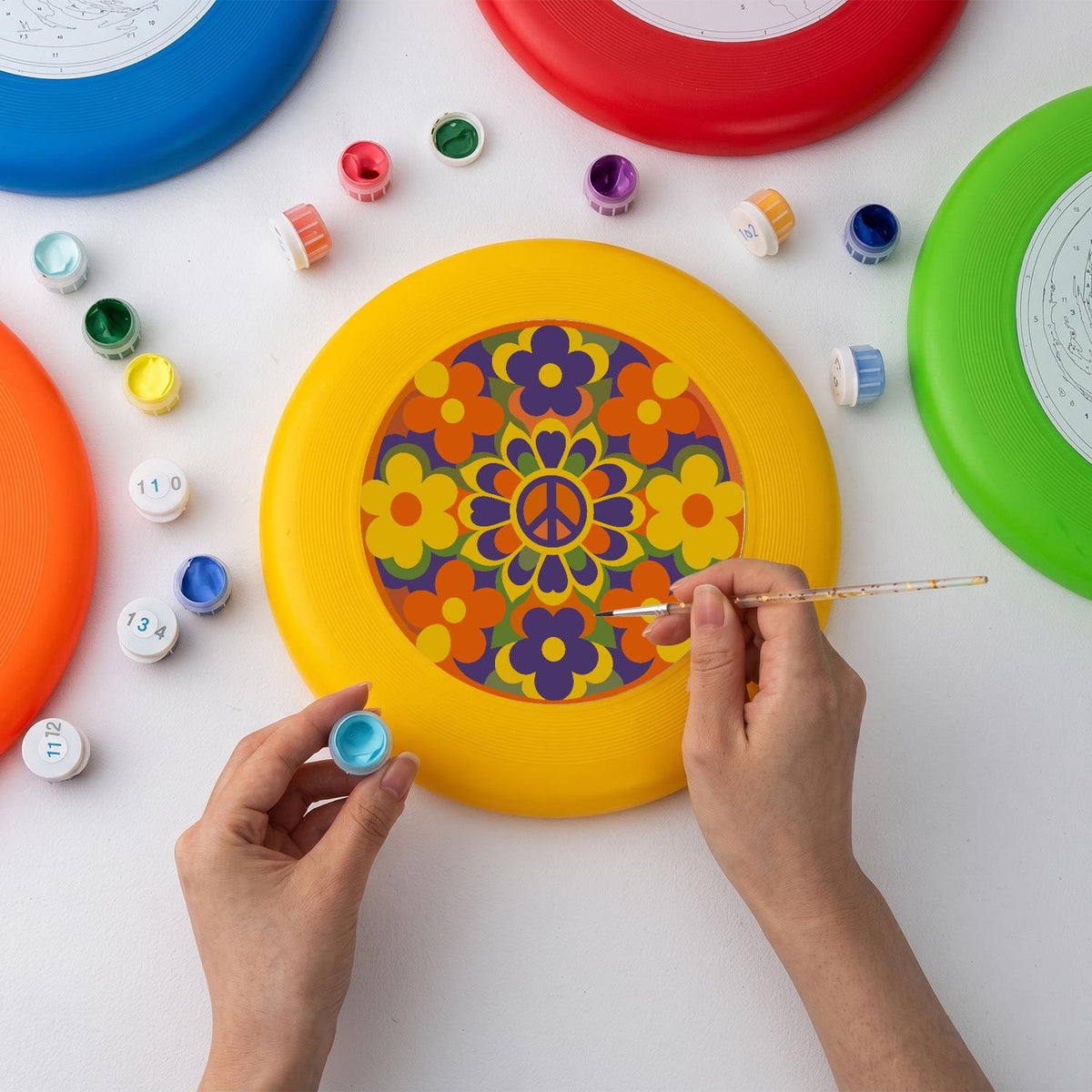 Retro Flower Garden (Paint by Numbers Flying Disc)