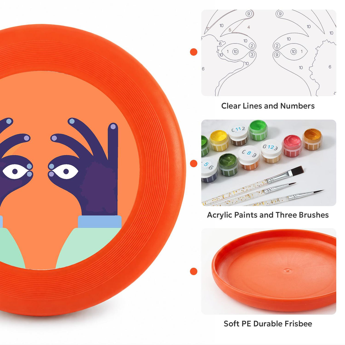 Peekaboo Bird (Paint by Numbers Flying Disc)