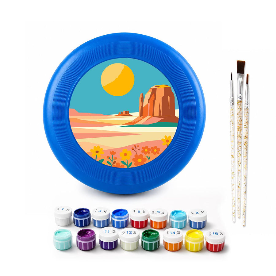 Flying disc kit contents