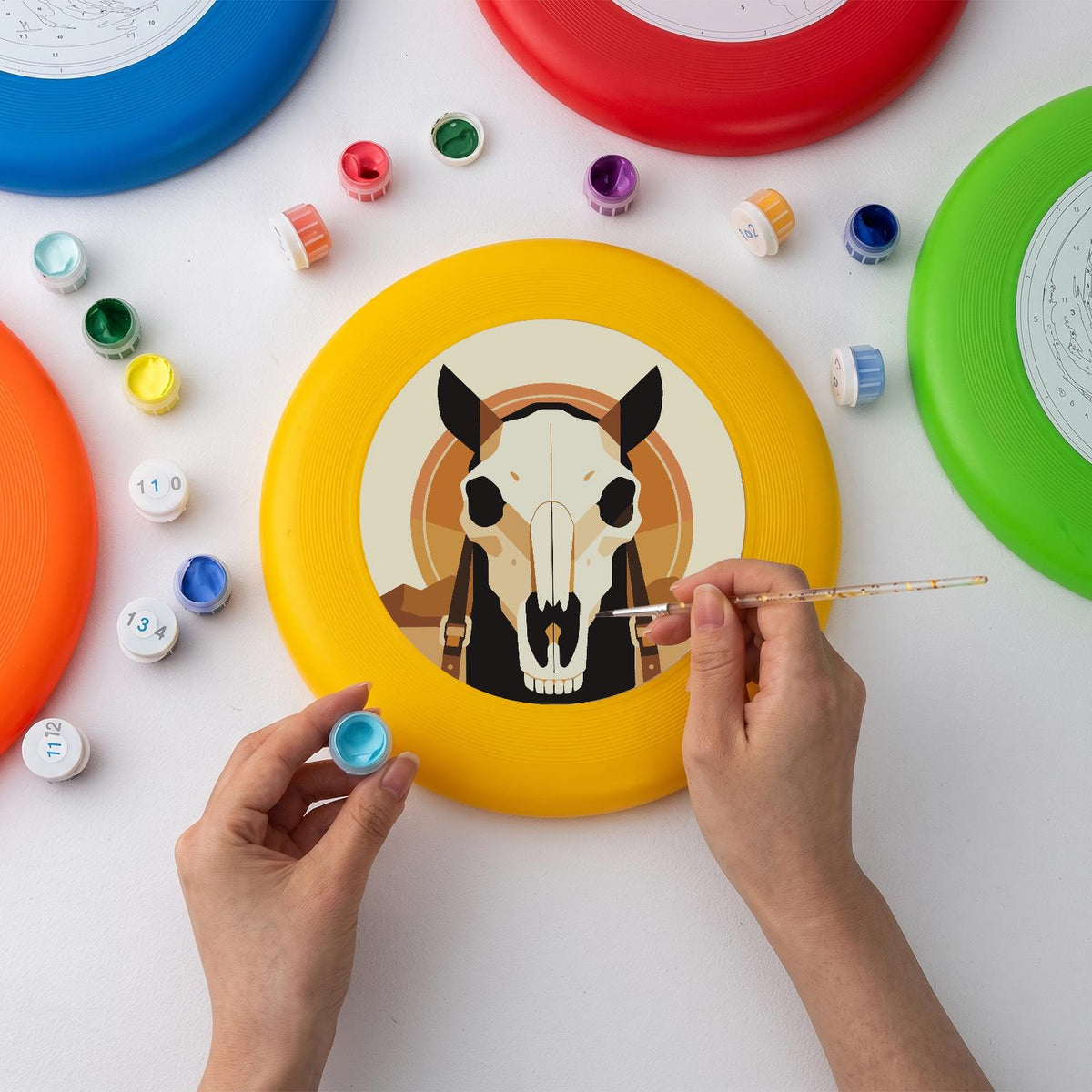 Desert Animal Skull (Paint by Numbers Flying Disc)