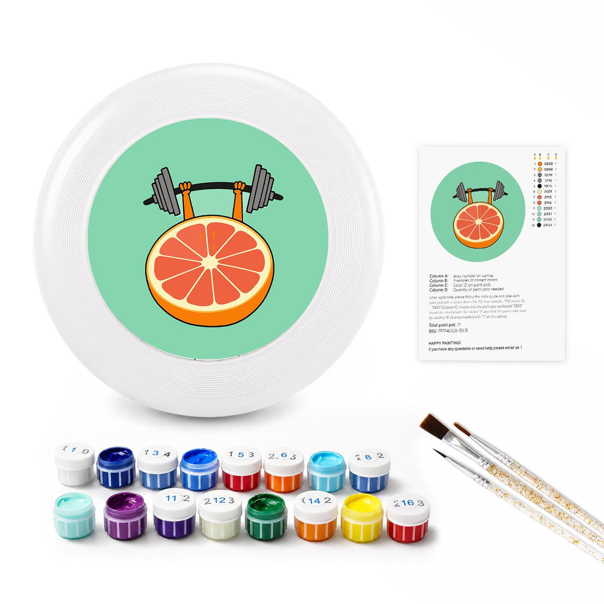 Orange Slice Dumbbell (Paint by Numbers Flying Disc)