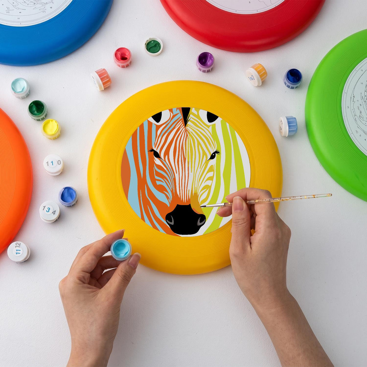 Rainbow Zebra (Paint by Numbers Flying Disc)