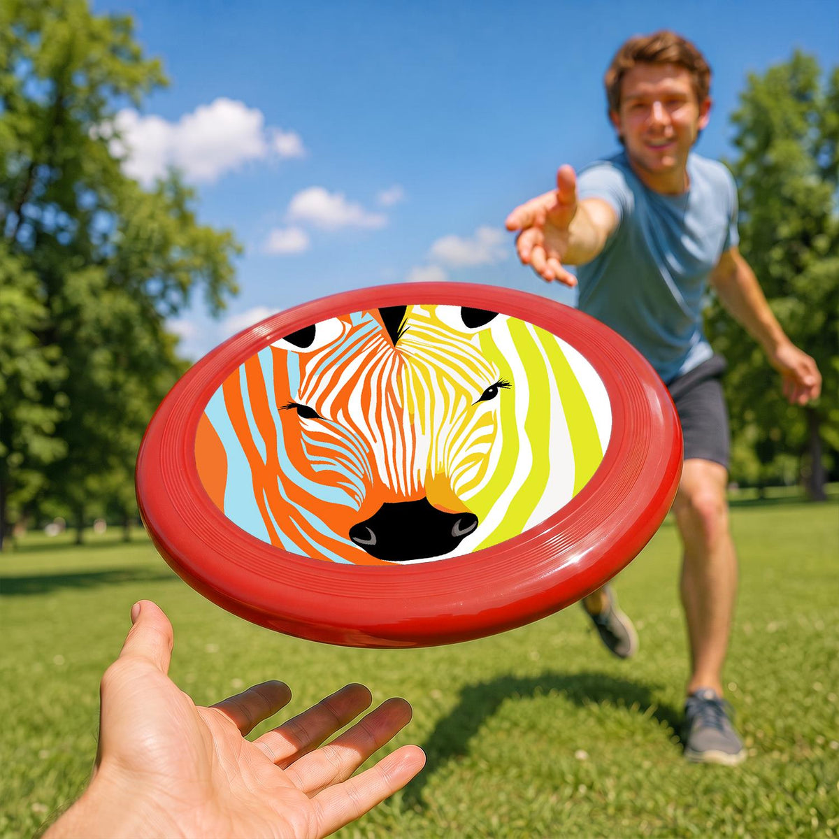Rainbow Zebra (Paint by Numbers Flying Disc)