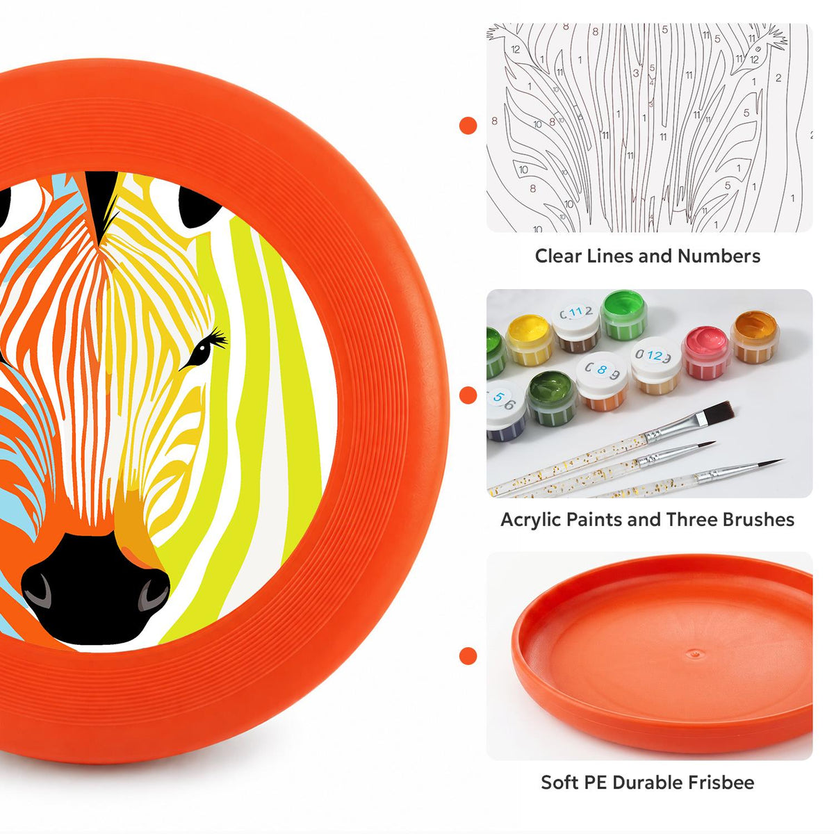 Rainbow Zebra (Paint by Numbers Flying Disc)