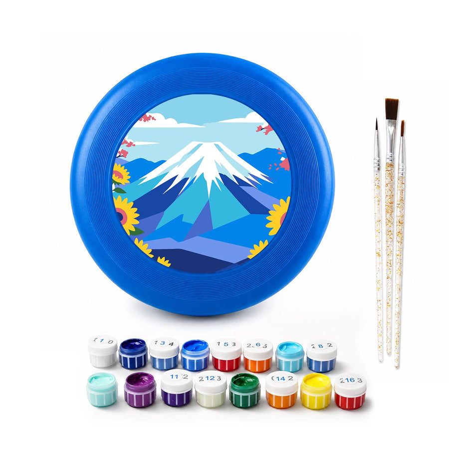 Flying disc kit contents