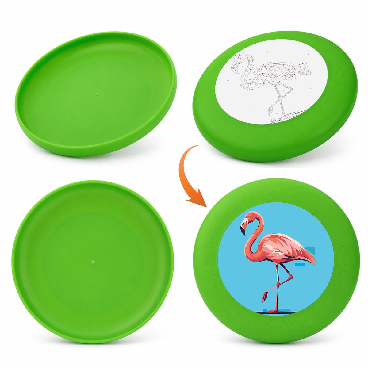 Flamingo Portrait (Paint by Numbers Flying Disc)