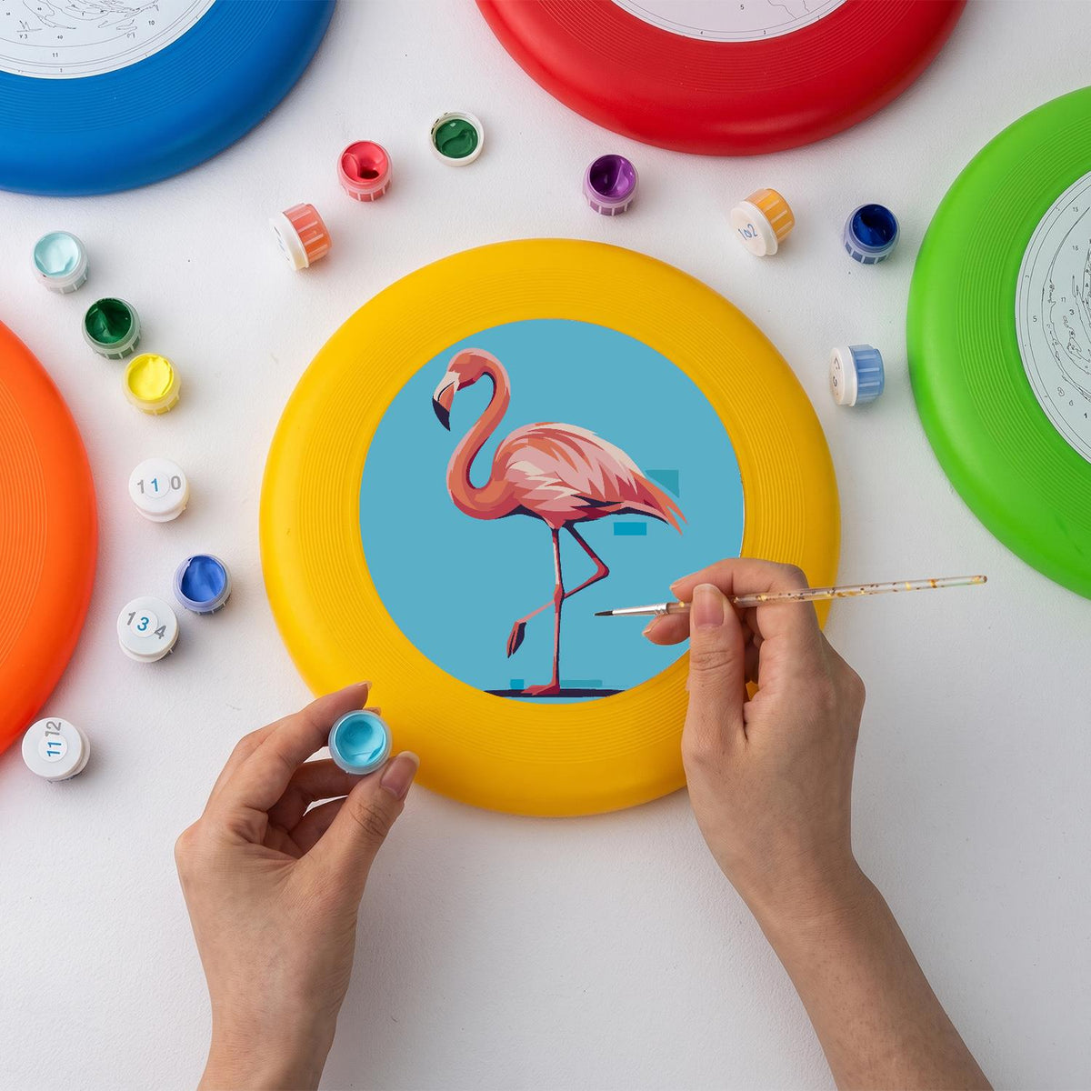 Flamingo Portrait (Paint by Numbers Flying Disc)