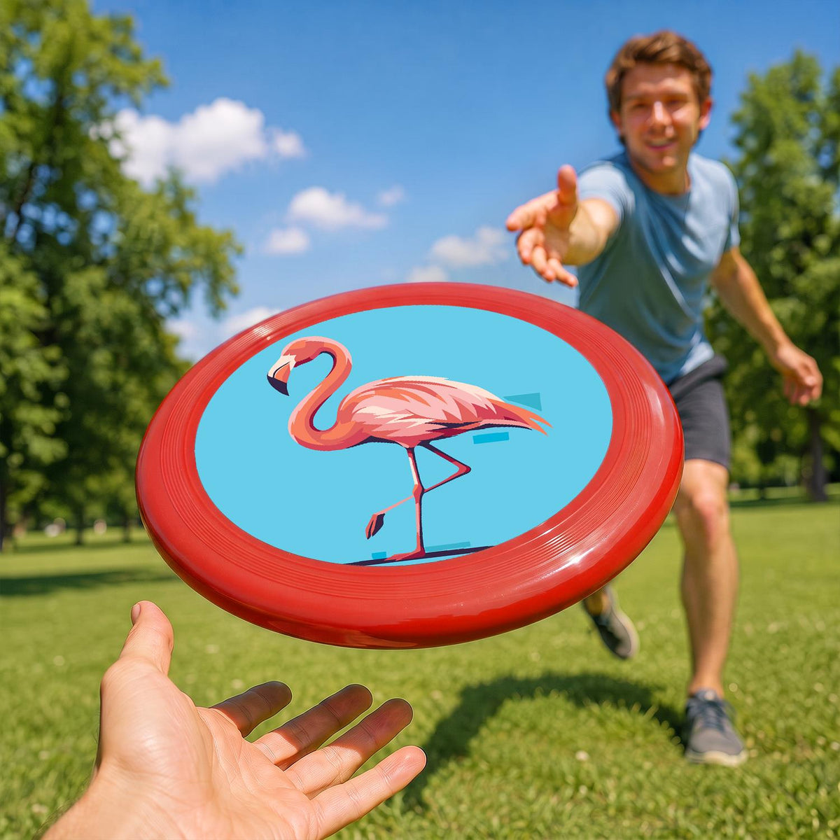 Flamingo Portrait (Paint by Numbers Flying Disc)