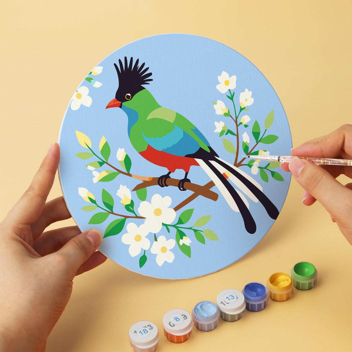 Hummingbird and Hoopoe Garden mini board kit – image 9