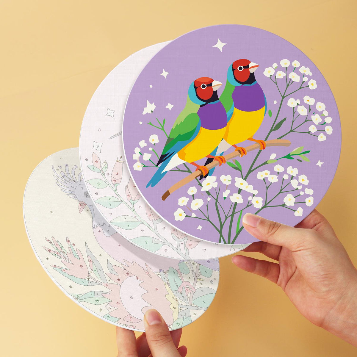 Hummingbird and Hoopoe Garden mini board kit – image 11
