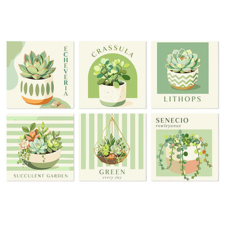Echeveria and Lithops Studies mini board kit – Labeled succulents in pots: echeveria, crassula, lithops, a succulent bowl, a hanging terrarium and senecio