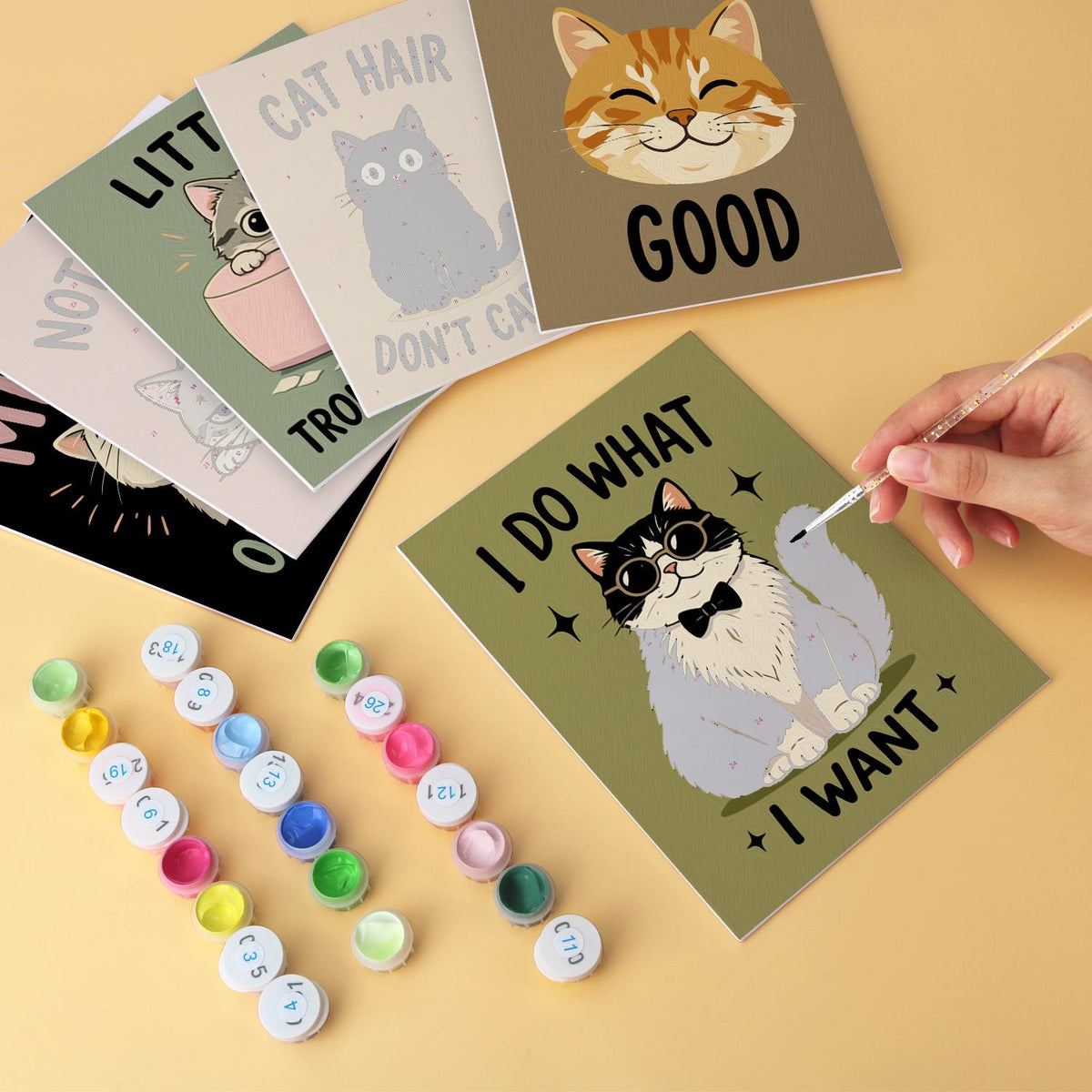 Cat Hair Don't Care Slogans mini board kit – image 6