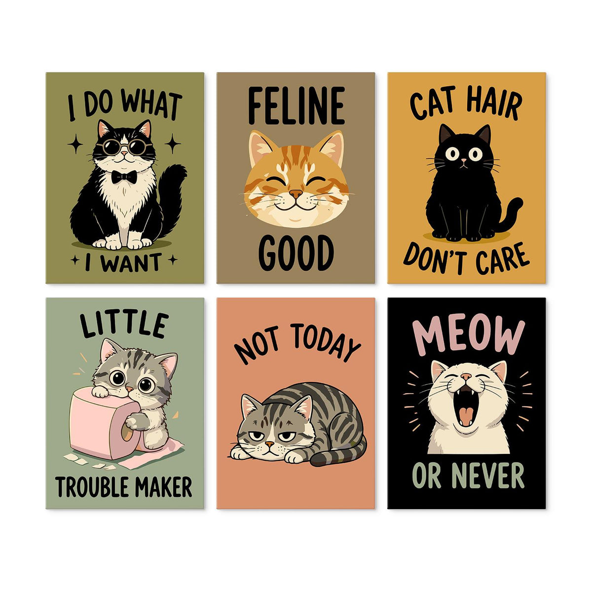 Cat Hair Don't Care Slogans mini board kit – Cheeky cats with funny slogans: a tuxedo cat, a ginger tabby, a black cat, a kitten and two sulky tabbies