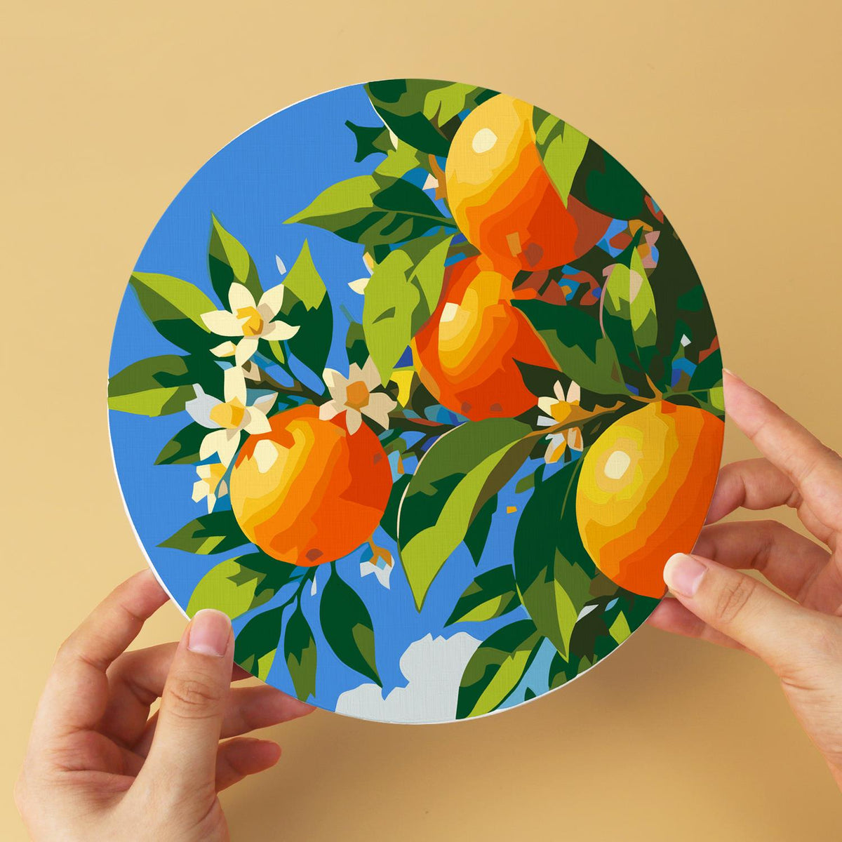 Orange Spritz Coastal Getaway mini board kit – image 10