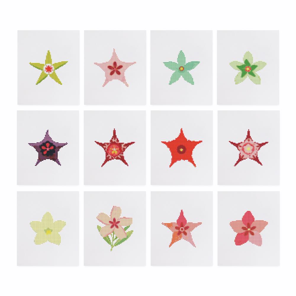 Starfish Flower Garden mini diamond painting – the 12 designs laid out on white