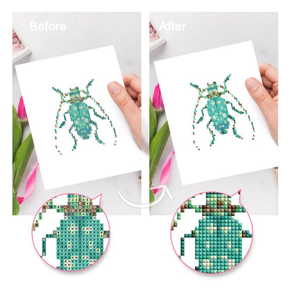 Jewel Beetle Specimens mini diamond painting – image 9