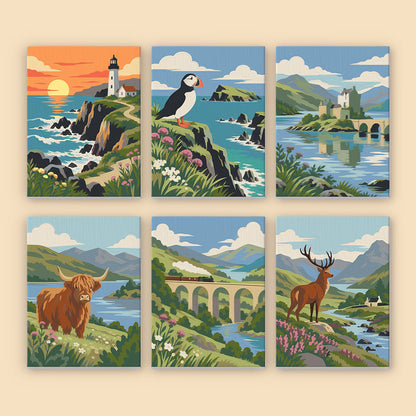 Puffin and Highland Cow Glens mini paint by numbers – image 8